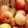 Яблочный Спас 2018: почему нельзя есть яблоки до Преображения Господнего