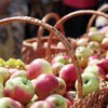 Яблочный спас 2018: традиции праздника 