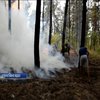 На Миколаївщині вигоріло 10 гектарів лісу (відео)