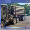 На Буковині затримали вантажівку з незаконною деревиною