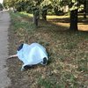 ЧП под Днепром: женщина не смогла пережить жару 
