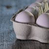 Цены на продукты: в Украине подешевели яйца и молоко 