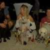 Хорвати влаштували змагання для собак і людей