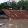 В Мьянме прорыв плотины лишил домов десятки тысяч людей