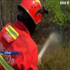 Аномальная жара в Европе привела к масштабным пожарам