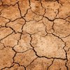 Австралию накрыла сильнейшая за полвека засуха