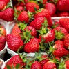 Продукты на вывоз: Украина рекордно увеличила экспорт фруктов и ягод