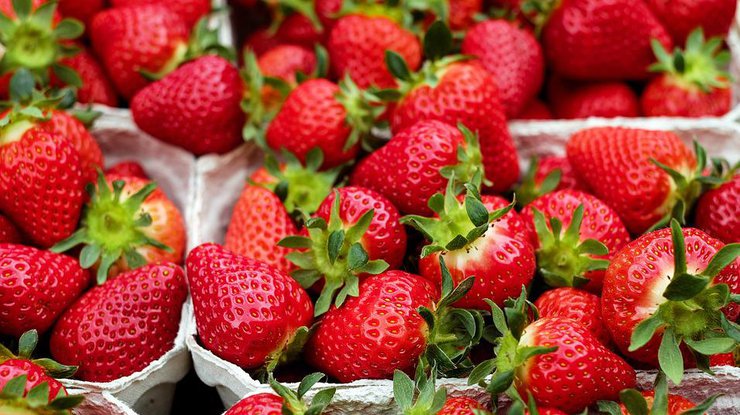 Украинские фрукты и ягоду пользуются спросом за рубежом. Илл.: pixabay.com