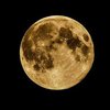 Вокруг Луны засняли десятки НЛО (видео)
