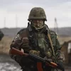 Премии военным на Донбассе: сколько будут получать бойцы 