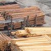 Экспорт леса: что изменится в Украине после принятия закона