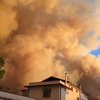 В Италии вспыхнул масштабный лесной пожар (видео)