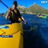 У Новій Зеландії тюлень атакував каное (відео)