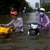Во Вьетнаме массово гибнут люди из-за наводнения