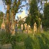 Похороны с подселением: в Прикарпатье закончились места на кладбище