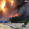 Через пожежу у Каліфорнії евакуювали десятки будинків