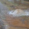 В Николаеве прорвало водопровод: город может остаться без воды (видео)