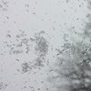 Погода в Украине на 11 января: страну засыплет мокрым снегом