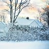 Погода на 15 января: Украину заметет снегом 