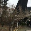 В Иране разбился Boeing 707 (фото, видео) 