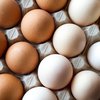 Чем коричневые яйца отличаются от белых