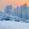 Резкое похолодание: какой будет погода в Украине на Рождество