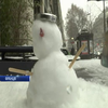 "Великий холод": Франція задіяла план порятунку від снігопаду