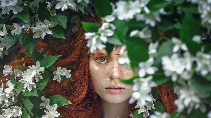 Фото: Pixabay