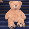 Парижани влаштували гулянку для іграшкових ведмедів