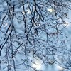Погода на выходыне: Украину заметет снегом 