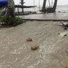 В Таиланде бушует ураган "Пабук": страшные кадры 