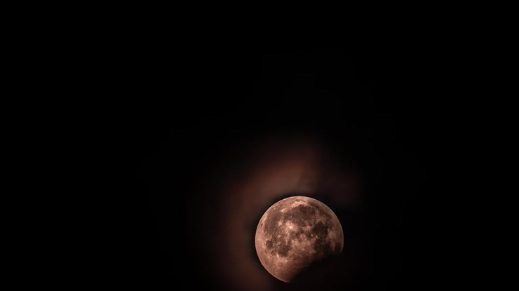 Фото: unsplash.com