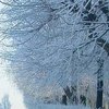Какой будет зима в 2020 году: приметы и суеверия 