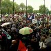 Екоактивісти влаштували протести у Європі