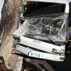 Автобус с пассажирами "влетел" в дерево, пострадали 29 человек (фото)