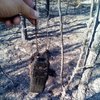 Безответственные люди: под Киевом сожгли гектар леса