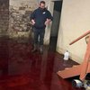 Дом затопило кровью и костями животных (видео)