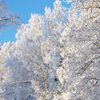 В Украину идут сильный мороз и снег 