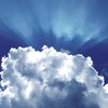 Туман и солнце: синоптики удивили прогнозом погоды