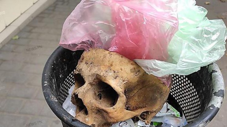 Череп в мусорке / Фото: "Преступности нет"