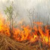 В Украине сохранится высокий уровень пожарной опасности