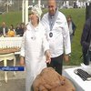 Страви за старовинними рецептами: на Буковині провели міжнародний кулінарний фестиваль