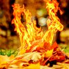 Сжигание листьев может закончиться онкологией - врачи 