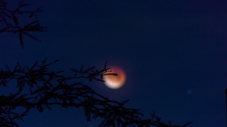 Лунный гороскоп на завтра, фото: unsplash.com