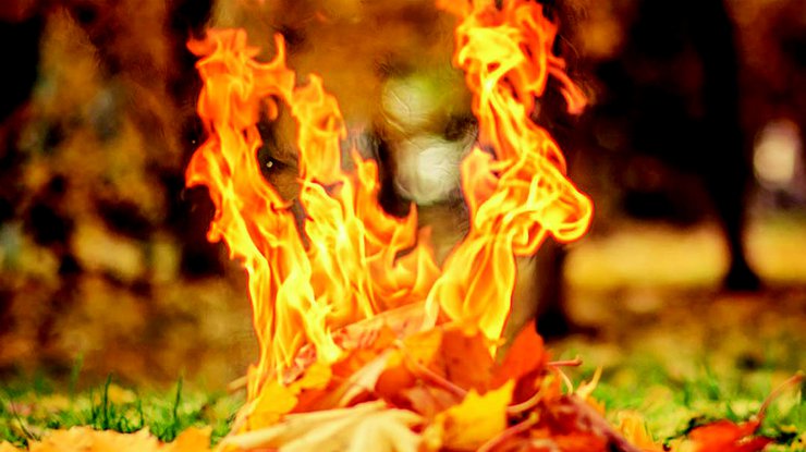 Сжигание листьев / Фото: galinfo.com.ua