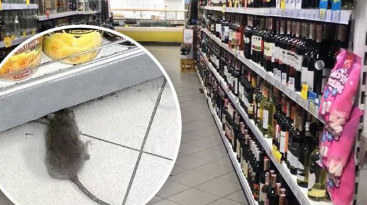 В супермаркете обнаружили крысу / Фото: РБК-Украина