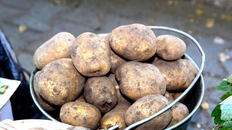 На рынки завезли ядовитый картофель / Фото: ussurmedia.ru