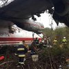 Авиакатастрофа под Львовом: появилось видео с места происшествия 
