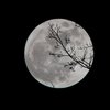 Лунный календарь на 4 октября: что категорически нельзя делать 