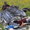 Авиакатастрофа MH17: парламент Нидерландов принял решение
